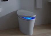 Das Gerät und Funktionsprinzip einer intelligenten Toilette