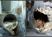 Характеристики на разграждането на мазнините в канализационните тръби и ямите