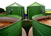 Mga pamamaraan para sa pagproseso ng pataba sa biogas sa bahay