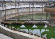 Scope of sewage treatment plants