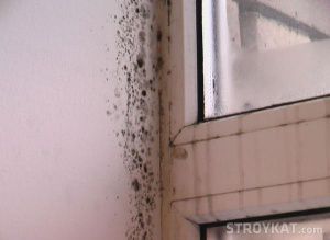 mucegai apare în colțurile camerei, geamurile plâng