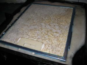 Contaminated grease trap